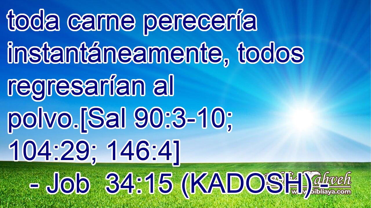  toda carne perecería instantáneamente, todos regresarían al polvo.[Sal 90:3-10; 104:29; 146:4] 