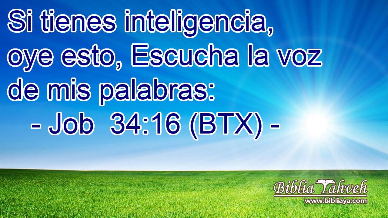 Si tienes inteligencia, oye esto, Escucha la voz de mis palabras: