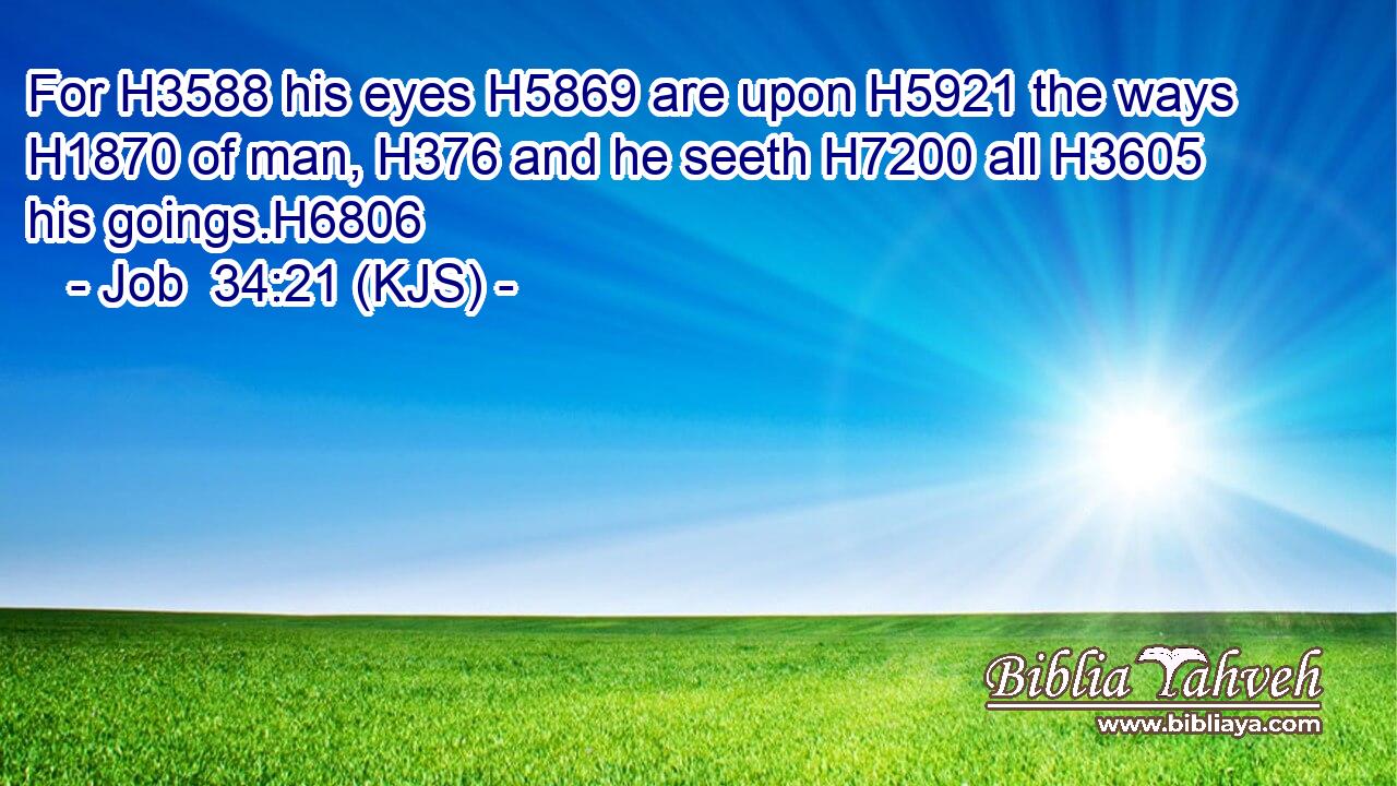 For H3588 his eyes H5869 are upon H5921 the ways H1870 of man, H376 and he seeth H7200 all H3605 his goings.H6806