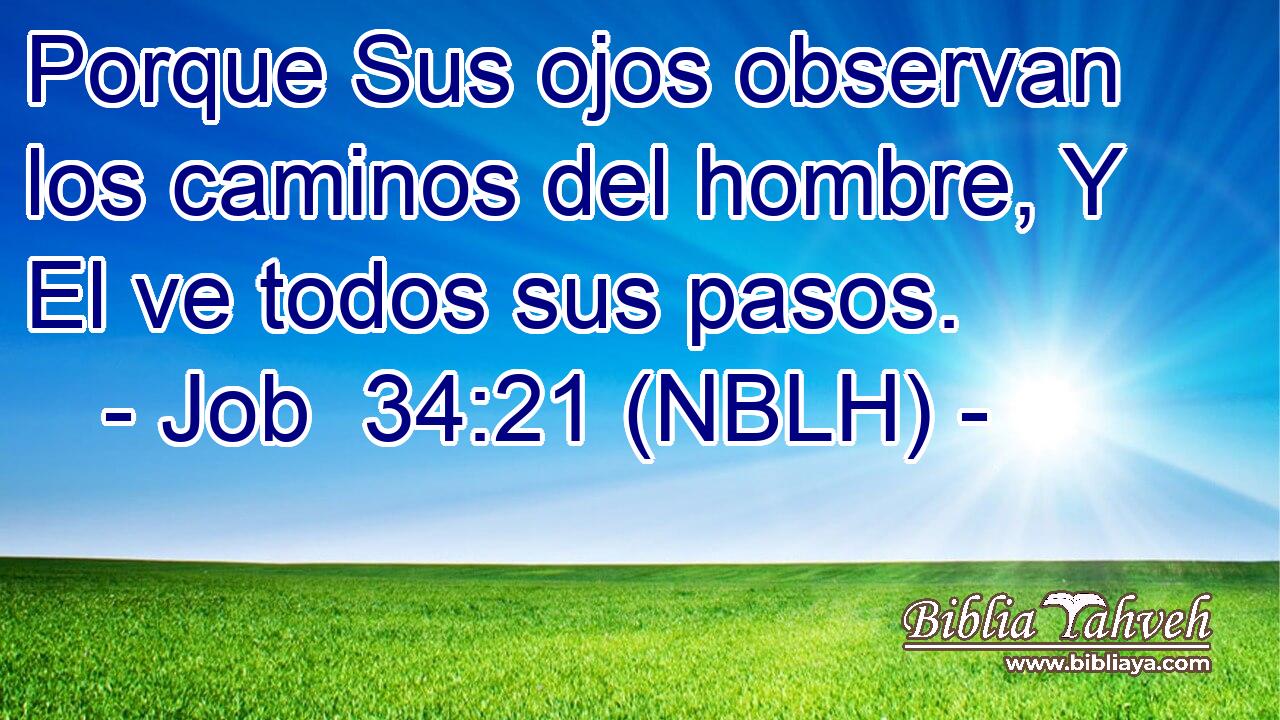  Porque Sus ojos observan los caminos del hombre, Y El ve todos sus pasos. 