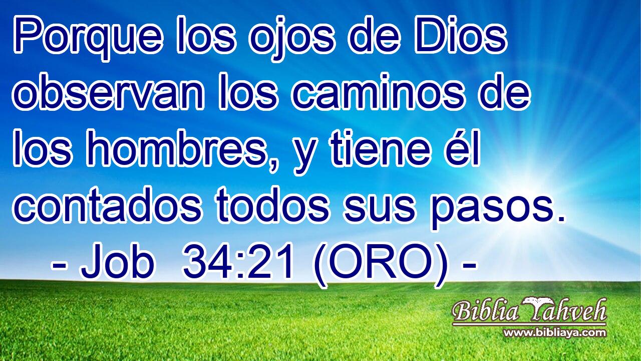  Porque los ojos de Dios observan los caminos de los hombres, y tiene él contados todos sus pasos. 