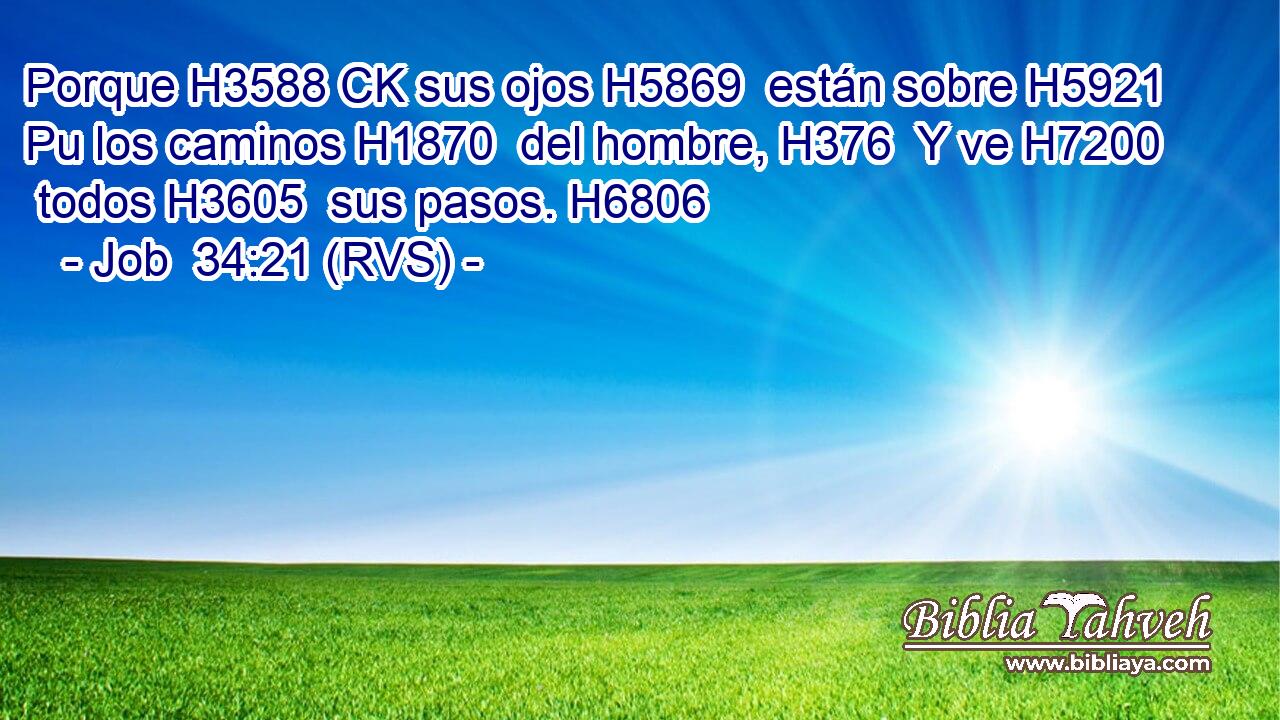 Porque H3588 CK sus ojos H5869  están sobre H5921 Pu los caminos H1870  del hombre, H376  Y ve H7200  todos H3605  sus pasos. H6806  