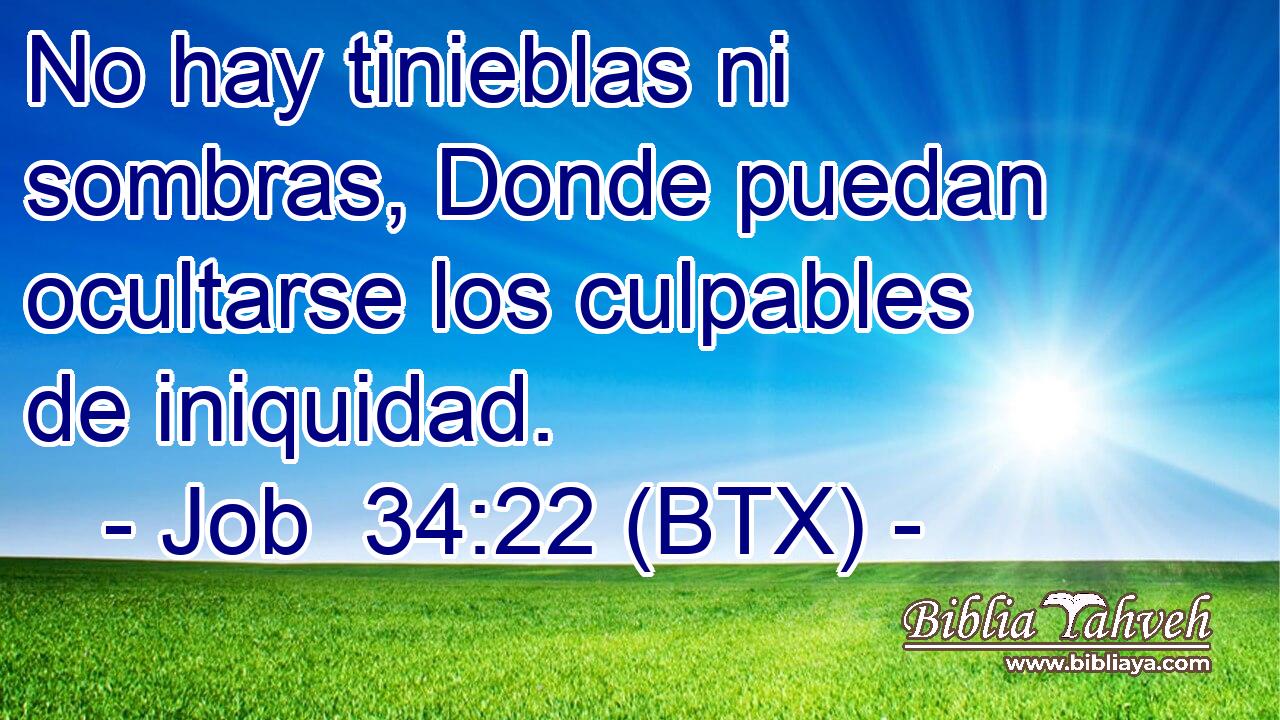No hay tinieblas ni sombras, Donde puedan ocultarse los culpables de iniquidad.