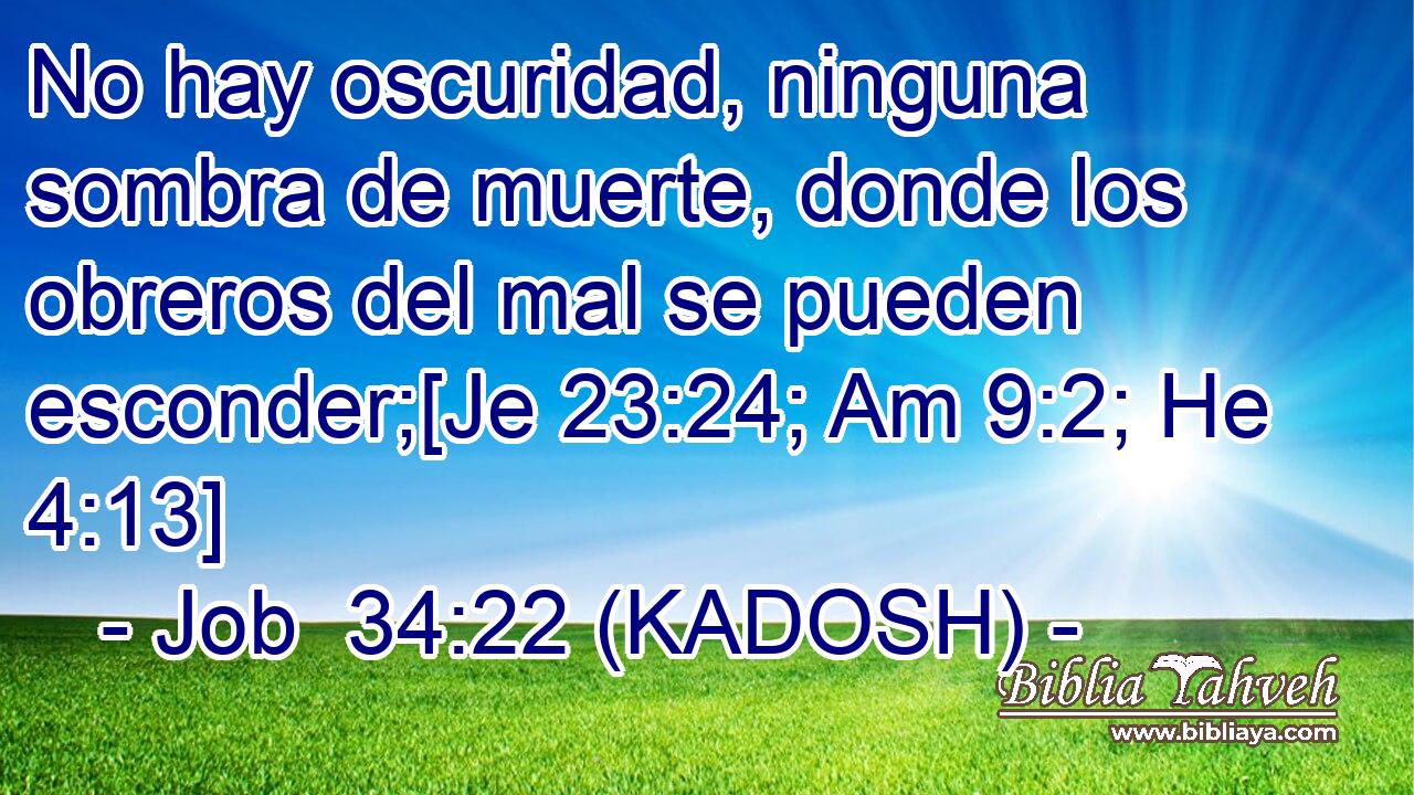  No hay oscuridad, ninguna sombra de muerte, donde los obreros del mal se pueden esconder;[Je 23:24; Am 9:2; He 4:13] 