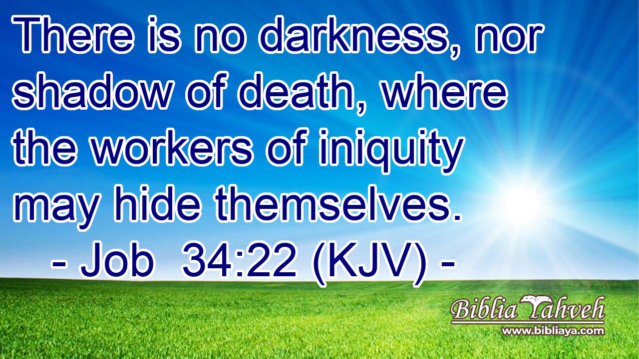 There is no darkness, nor shadow of death, where the workers of iniquity may hide themselves.