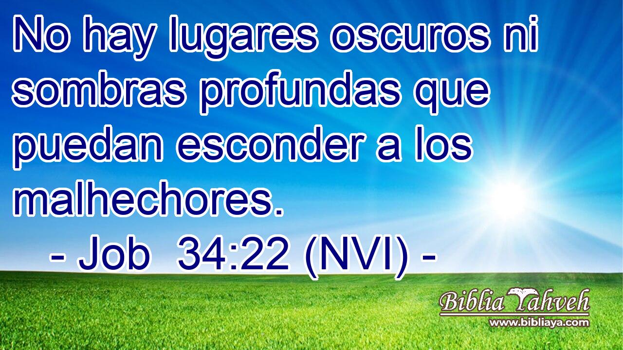  No hay lugares oscuros ni sombras profundas que puedan esconder a los malhechores. 