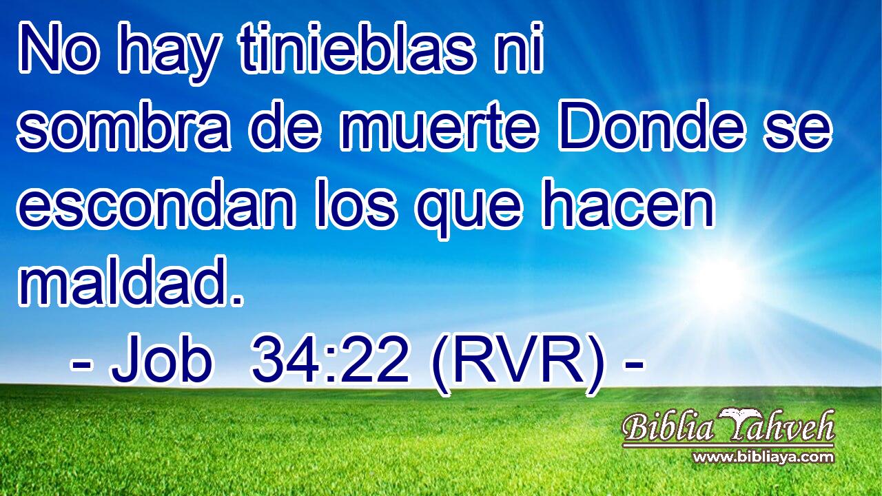 No hay tinieblas ni sombra de muerte Donde se escondan los que hacen maldad.