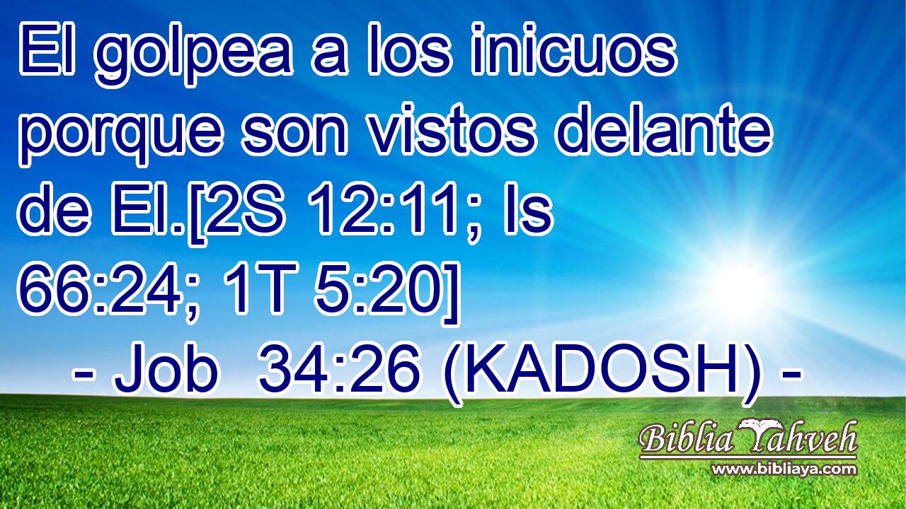  El golpea a los inicuos porque son vistos delante de El.[2S 12:11; Is 66:24; 1T 5:20] 