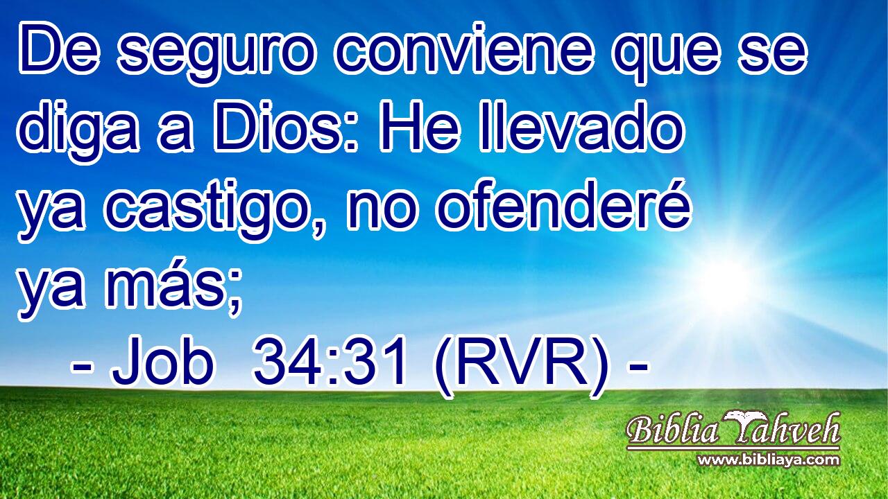 De seguro conviene que se diga a Dios: He llevado ya castigo, no ofenderé ya más;