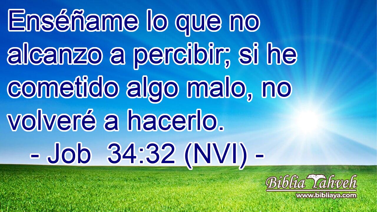 Enséñame lo que no alcanzo a percibir; si he cometido algo malo, no volveré a hacerlo. 