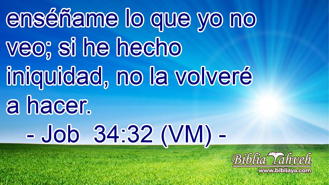  enséñame lo que yo no veo; si he hecho iniquidad, no la volveré a hacer. 