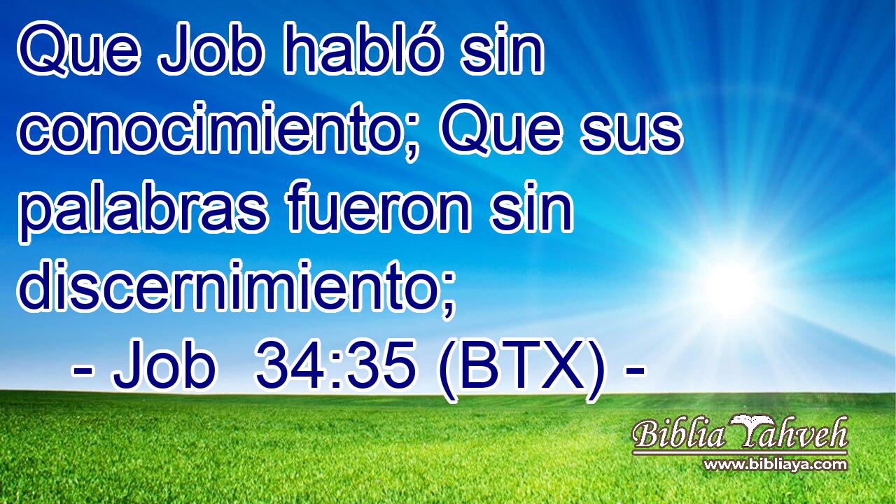 Que Job habló sin conocimiento; Que sus palabras fueron sin discernimiento;