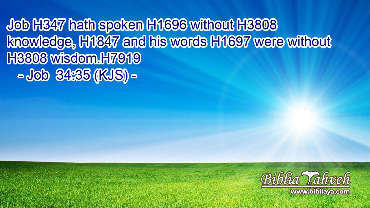 Job H347 hath spoken H1696 without H3808 knowledge, H1847 and his words H1697 were without H3808 wisdom.H7919