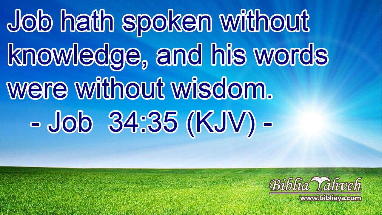 Job hath spoken without knowledge, and his words were without wisdom.
