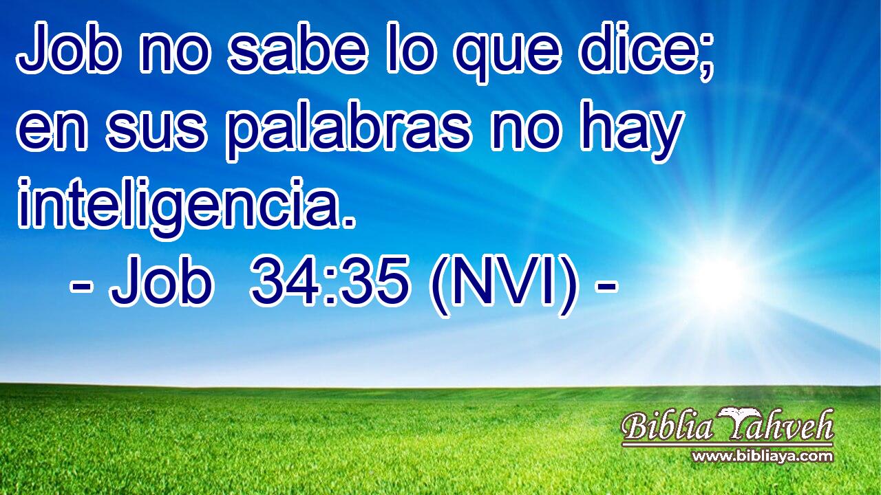  Job no sabe lo que dice; en sus palabras no hay inteligencia. 