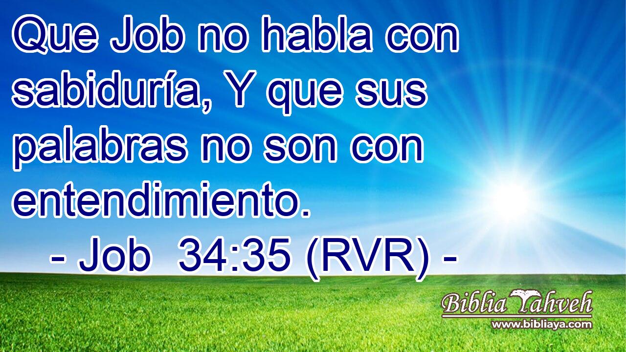 Que Job no habla con sabiduría, Y que sus palabras no son con entendimiento.
