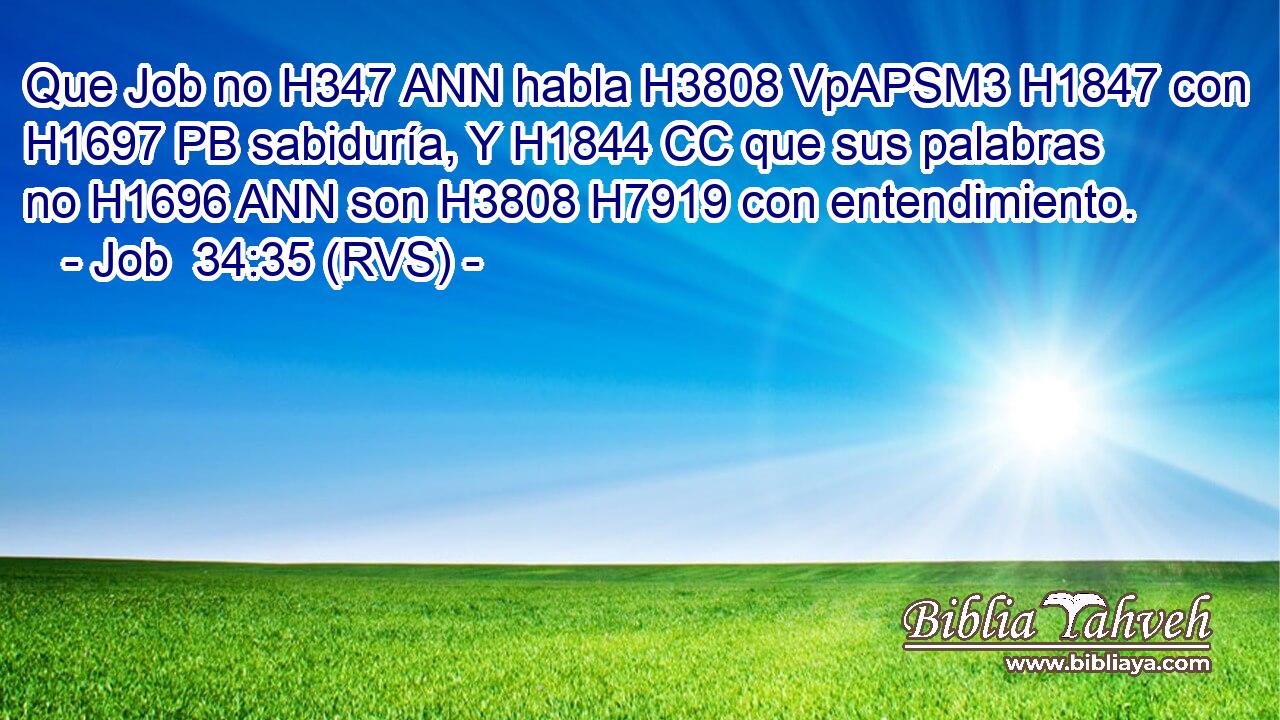 Que Job no H347 ANN habla H3808 VpAPSM3 H1847 con H1697 PB sabiduría, Y H1844 CC que sus palabras no H1696 ANN son H3808 H7919 con entendimiento. 