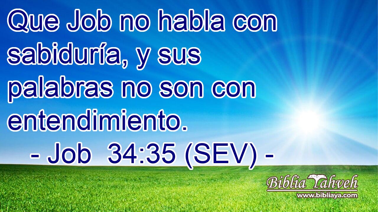 Que Job no habla con sabiduría, y sus palabras no son con entendimiento.