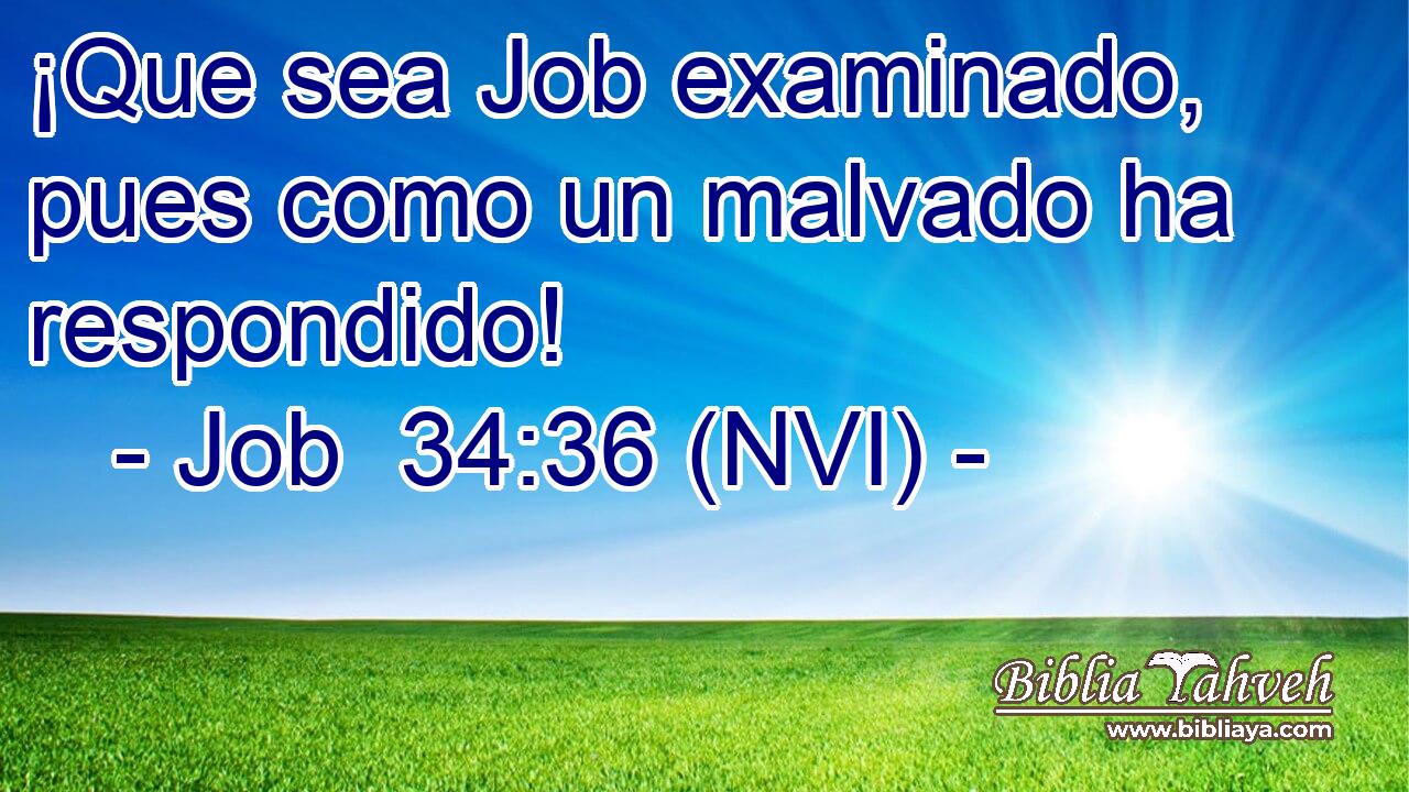  ¡Que sea Job examinado, pues como un malvado ha respondido! 
