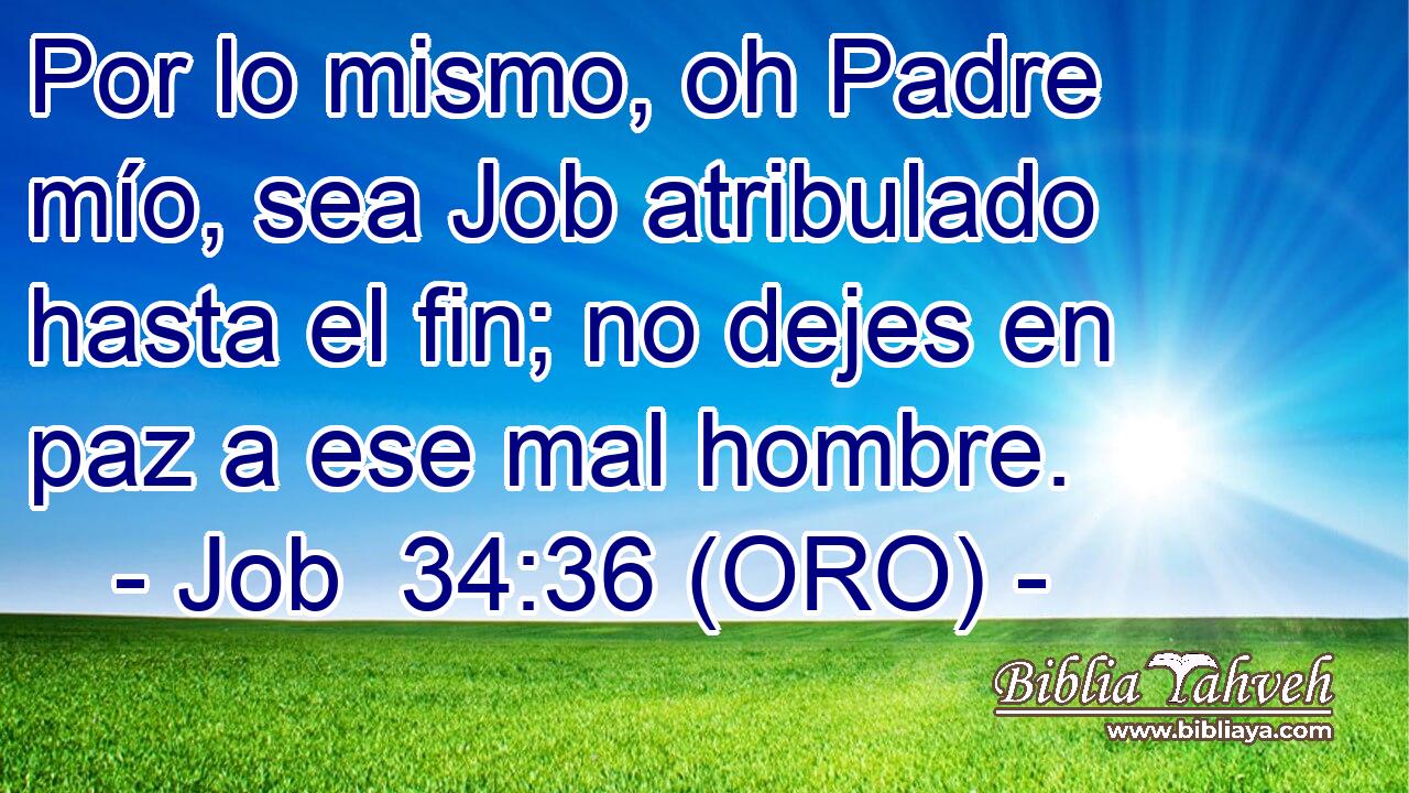  Por lo mismo, oh Padre mío, sea Job atribulado hasta el fin; no dejes en paz a ese mal hombre. 
