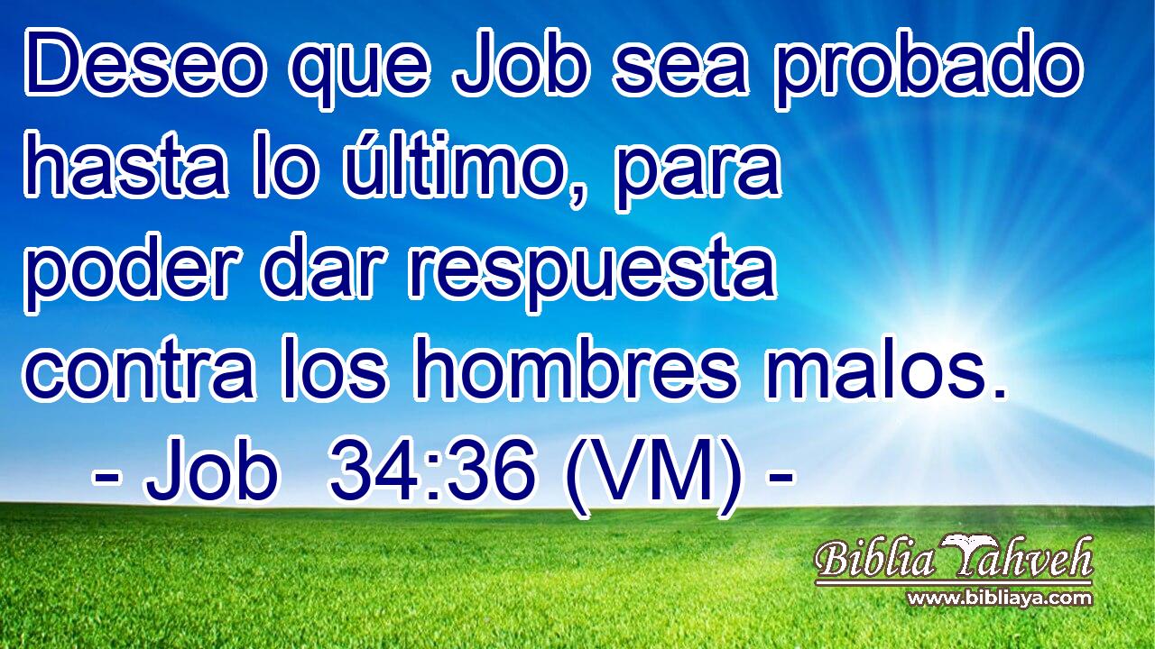 Deseo que Job sea probado hasta lo último, para poder dar respuesta contra los hombres malos. 
