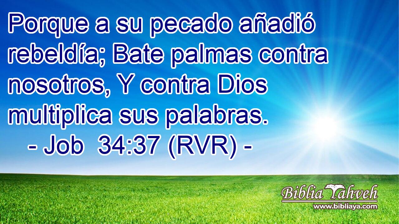 Porque a su pecado añadió rebeldía; Bate palmas contra nosotros, Y contra Dios multiplica sus palabras.