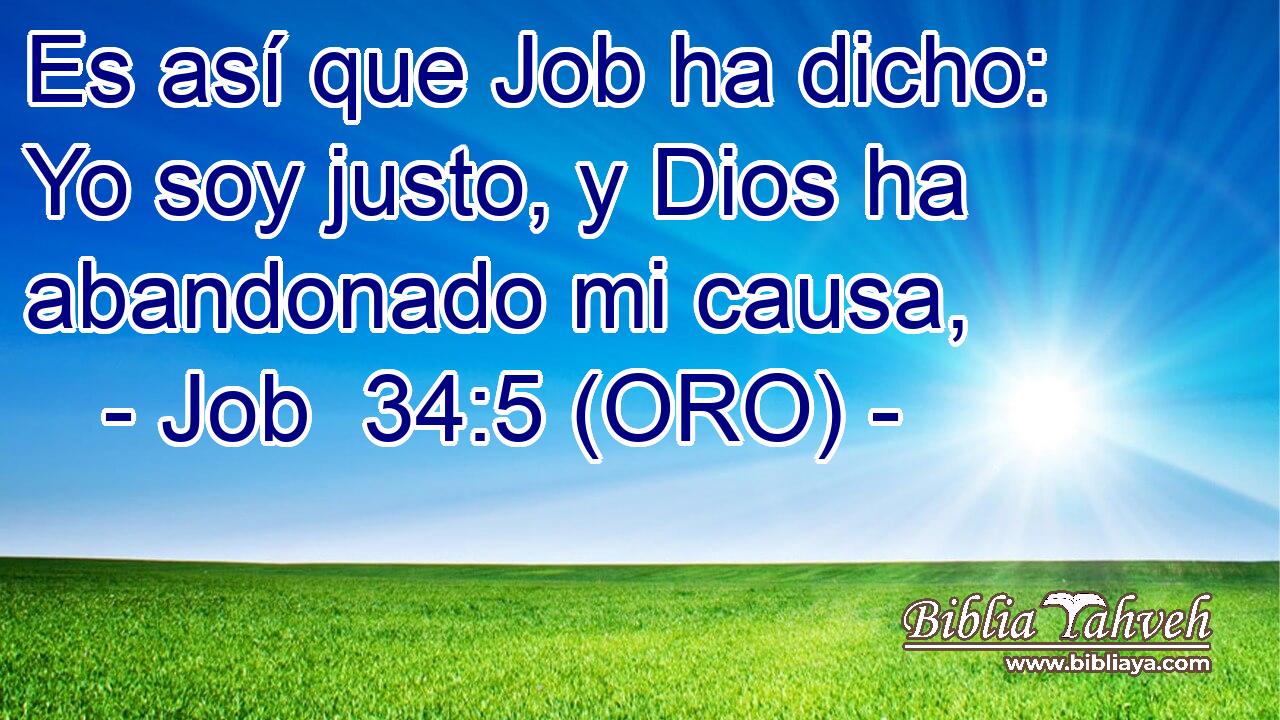  Es así que Job ha dicho: Yo soy justo, y Dios ha abandonado mi causa, 