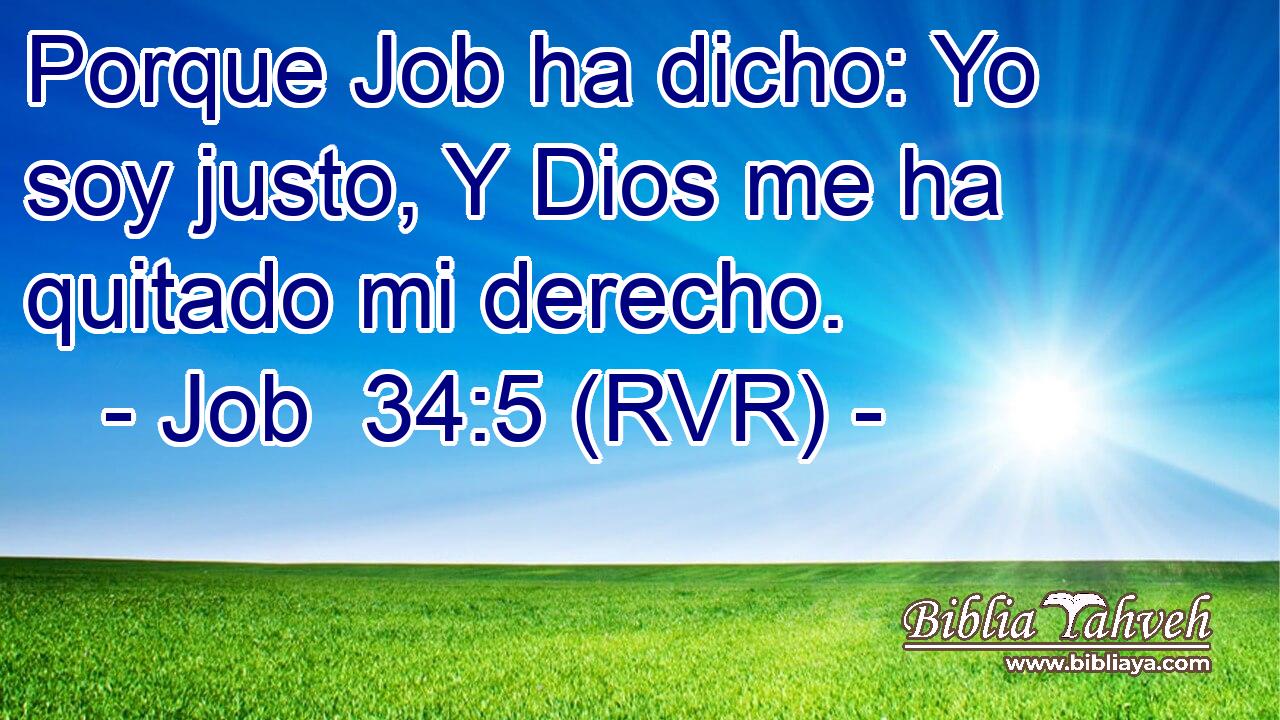 Porque Job ha dicho: Yo soy justo, Y Dios me ha quitado mi derecho.