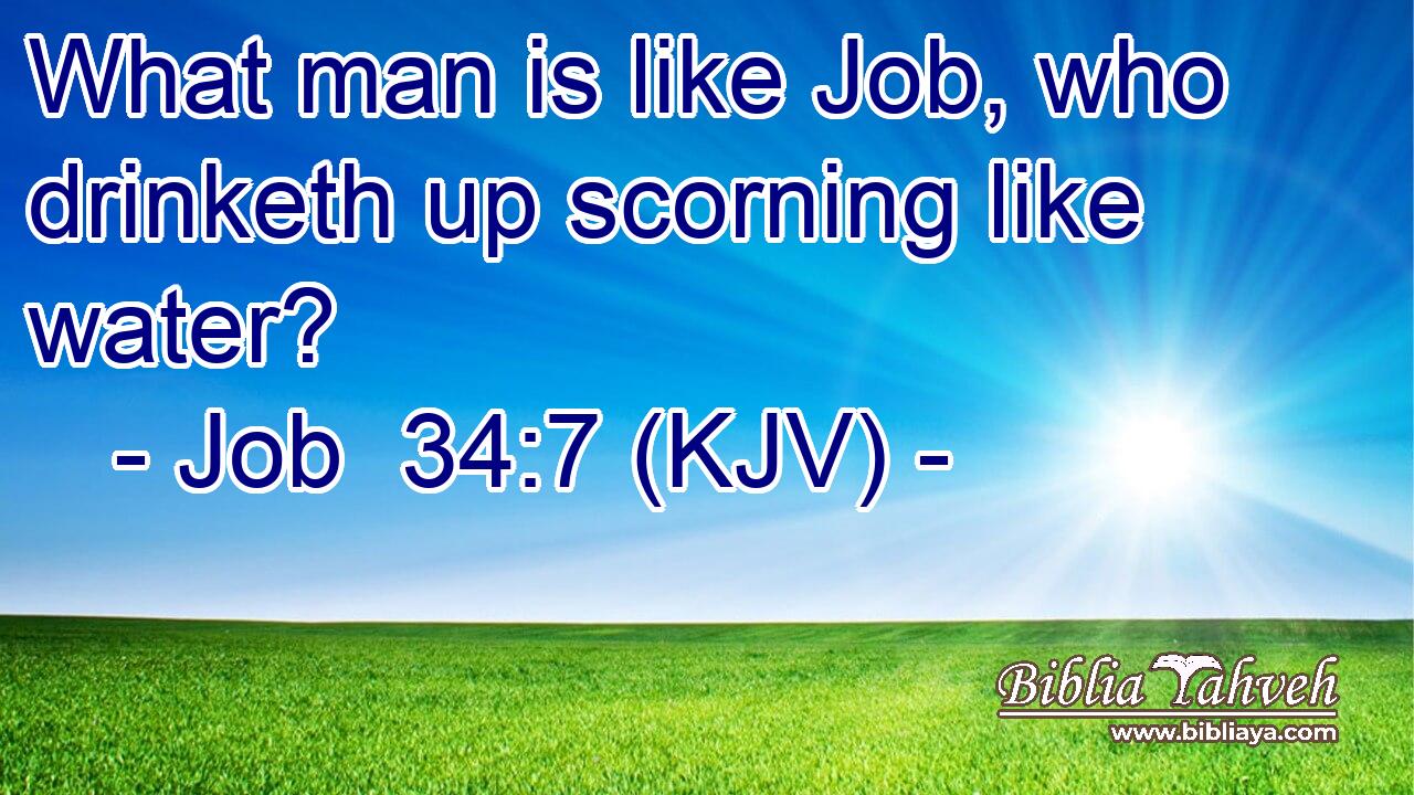 What man is like Job, who drinketh up scorning like water?