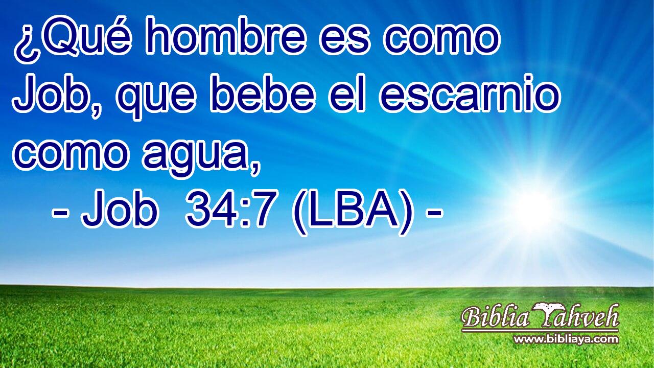 ¿Qué hombre es como Job, que bebe el escarnio como agua,
