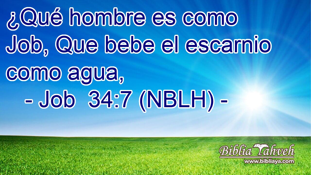  ¿Qué hombre es como Job, Que bebe el escarnio como agua, 