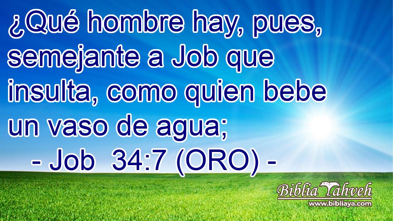  ¿Qué hombre hay, pues, semejante a Job que insulta, como quien bebe un vaso de agua; 