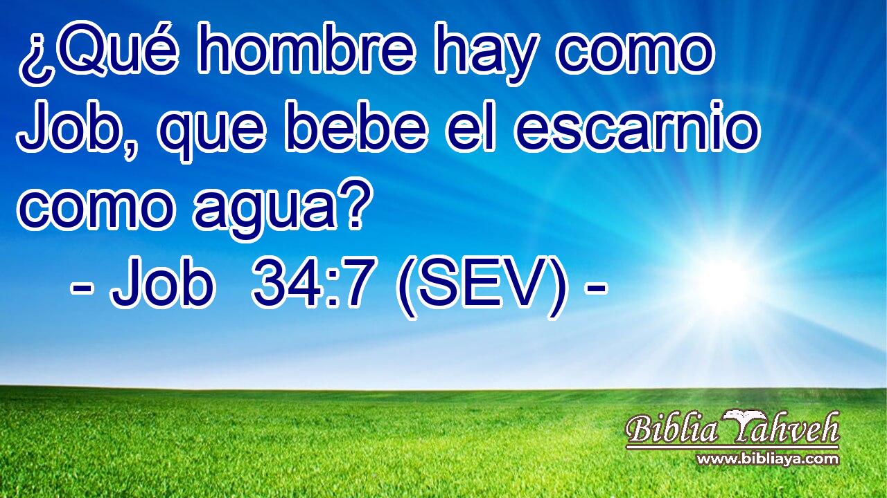 ¿Qué hombre hay como Job, que bebe el escarnio como agua?