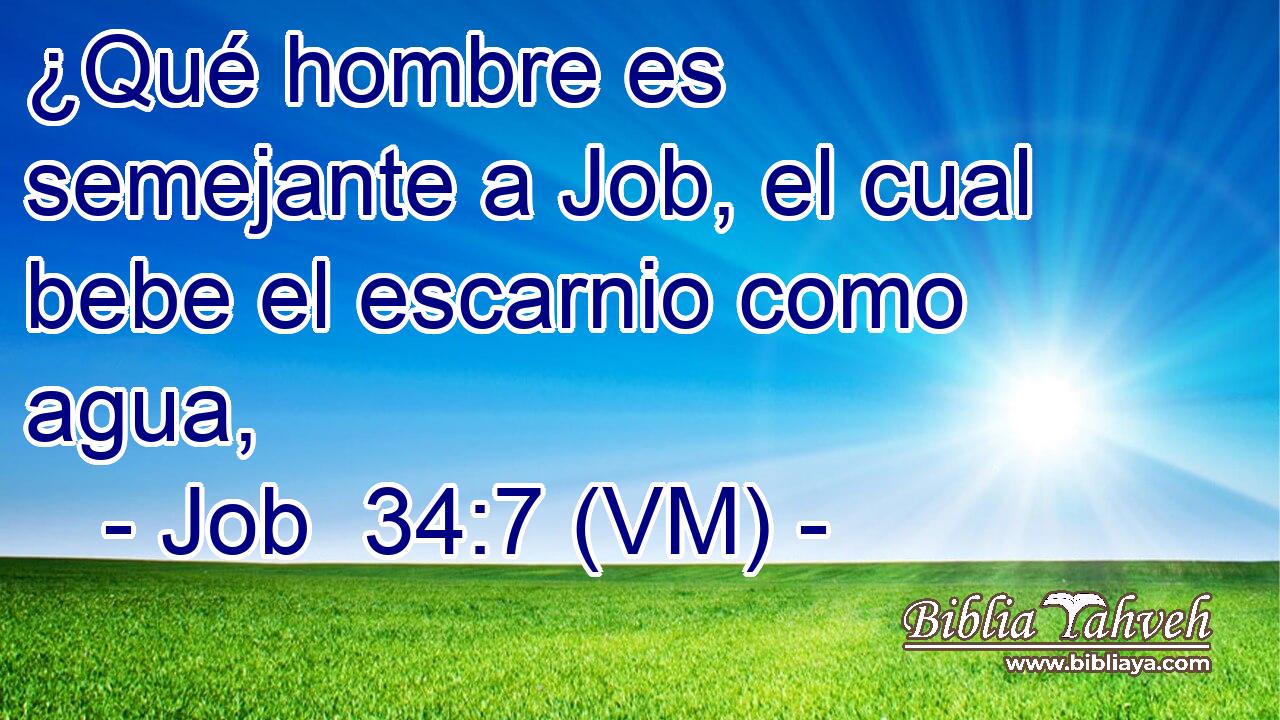  ¿Qué hombre es semejante a Job, el cual bebe el escarnio como agua, 