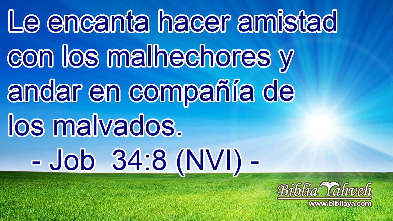  Le encanta hacer amistad con los malhechores y andar en compañía de los malvados. 