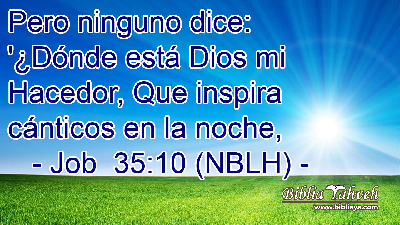  Pero ninguno dice: '¿Dónde está Dios mi Hacedor, Que inspira cánticos en la noche, 