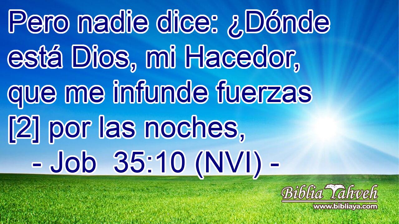  Pero nadie dice: ¿Dónde está Dios, mi Hacedor, que me infunde fuerzas [2] por las noches, 