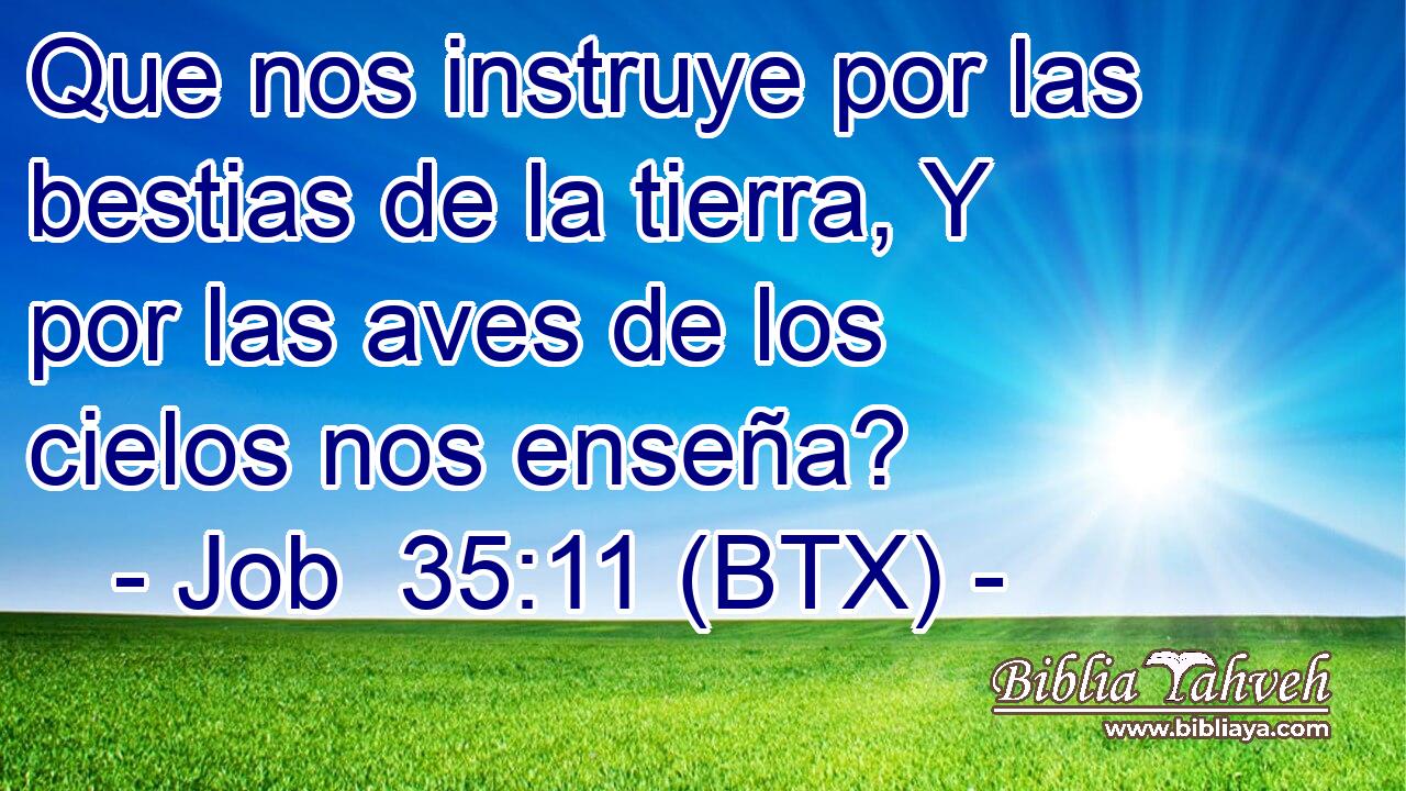 Que nos instruye por las bestias de la tierra, Y por las aves de los cielos nos enseña?