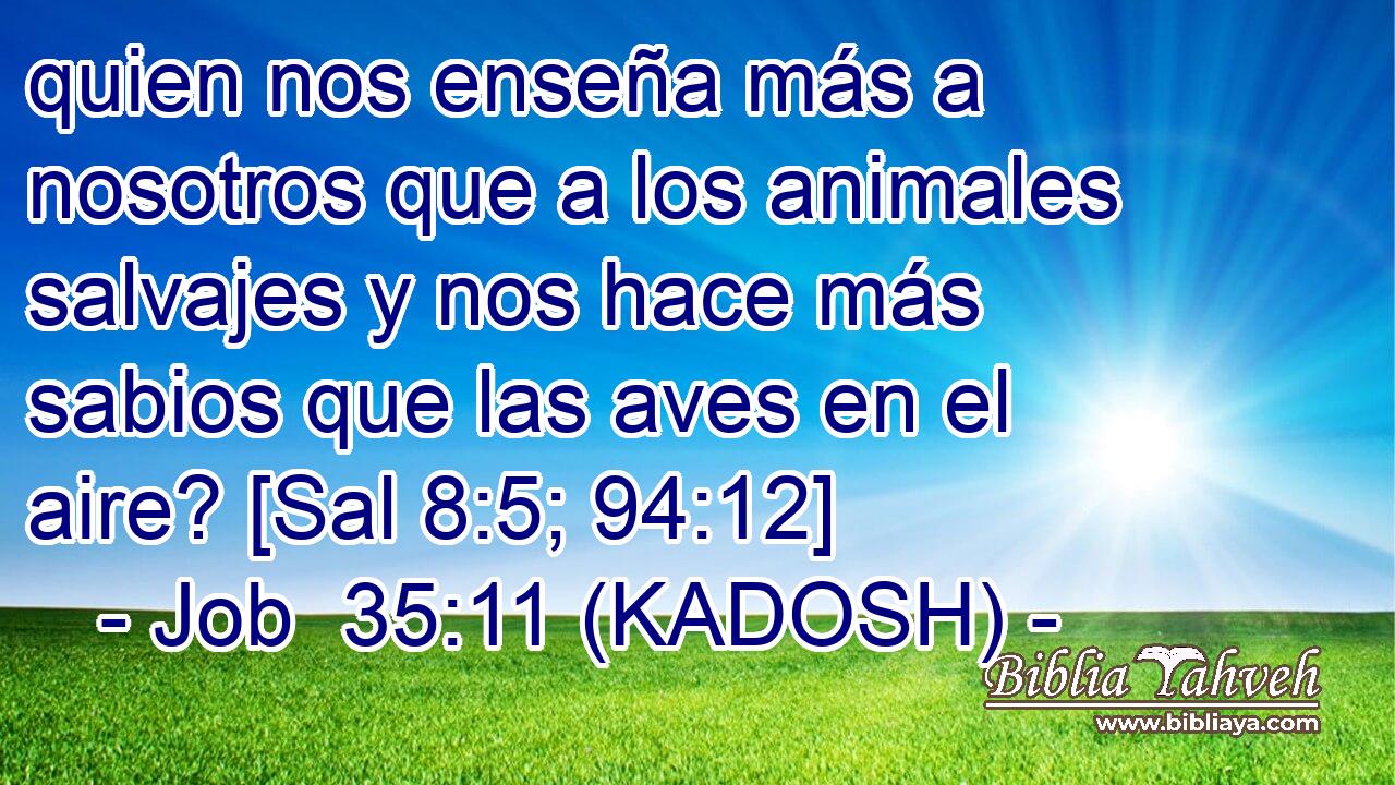  quien nos enseña más a nosotros que a los animales salvajes y nos hace más sabios que las aves en el aire? [Sal 8:5; 94:12] 
