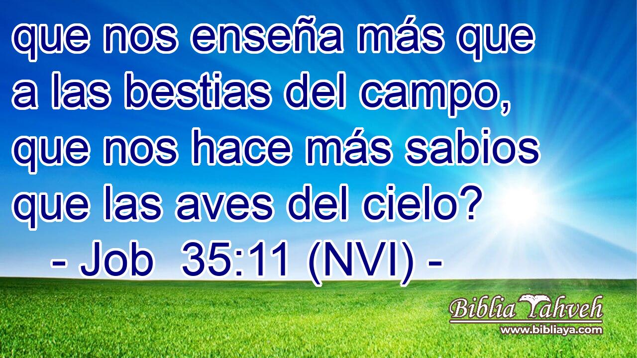  que nos enseña más que a las bestias del campo, que nos hace más sabios que las aves del cielo? 