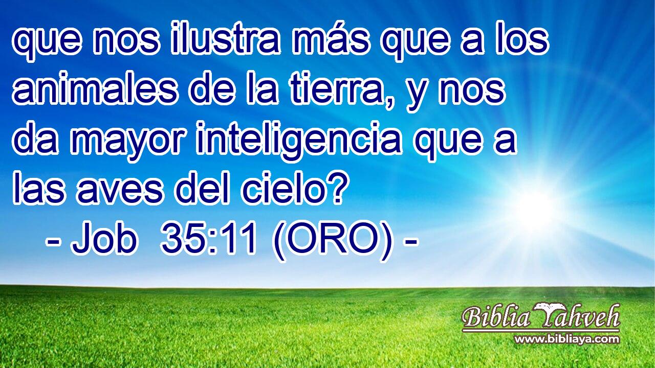  que nos ilustra más que a los animales de la tierra, y nos da mayor inteligencia que a las aves del cielo? 