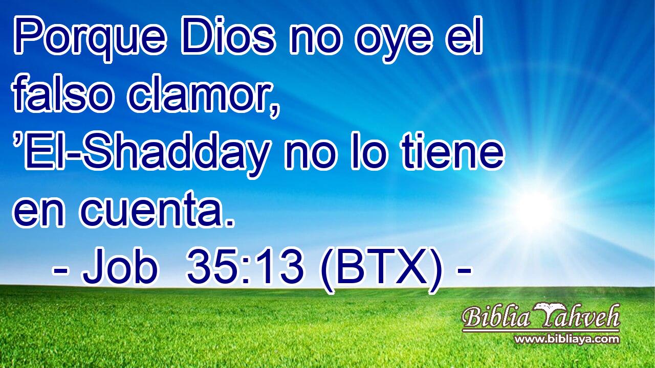 Porque Dios no oye el falso clamor, ’El-Shadday no lo tiene en cuenta.