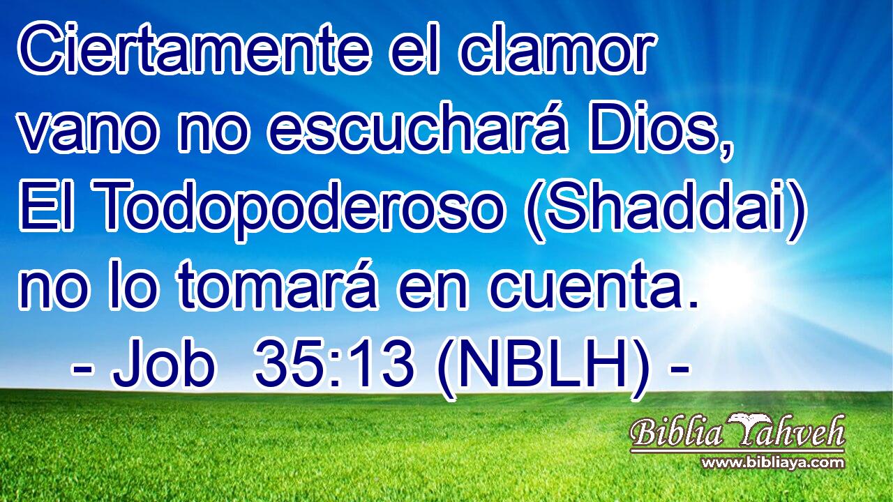  Ciertamente el clamor vano no escuchará Dios, El Todopoderoso (Shaddai) no lo tomará en cuenta. 