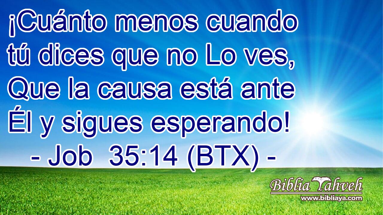 ¡Cuánto menos cuando tú dices que no Lo ves, Que la causa está ante Él y sigues esperando!