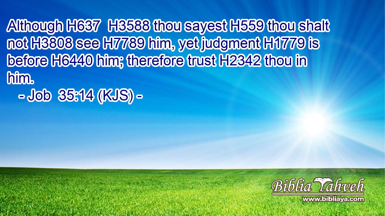 Although H637  H3588 thou sayest H559 thou shalt not H3808 see H7789 him, yet judgment H1779 is before H6440 him; therefore trust H2342 thou in him.