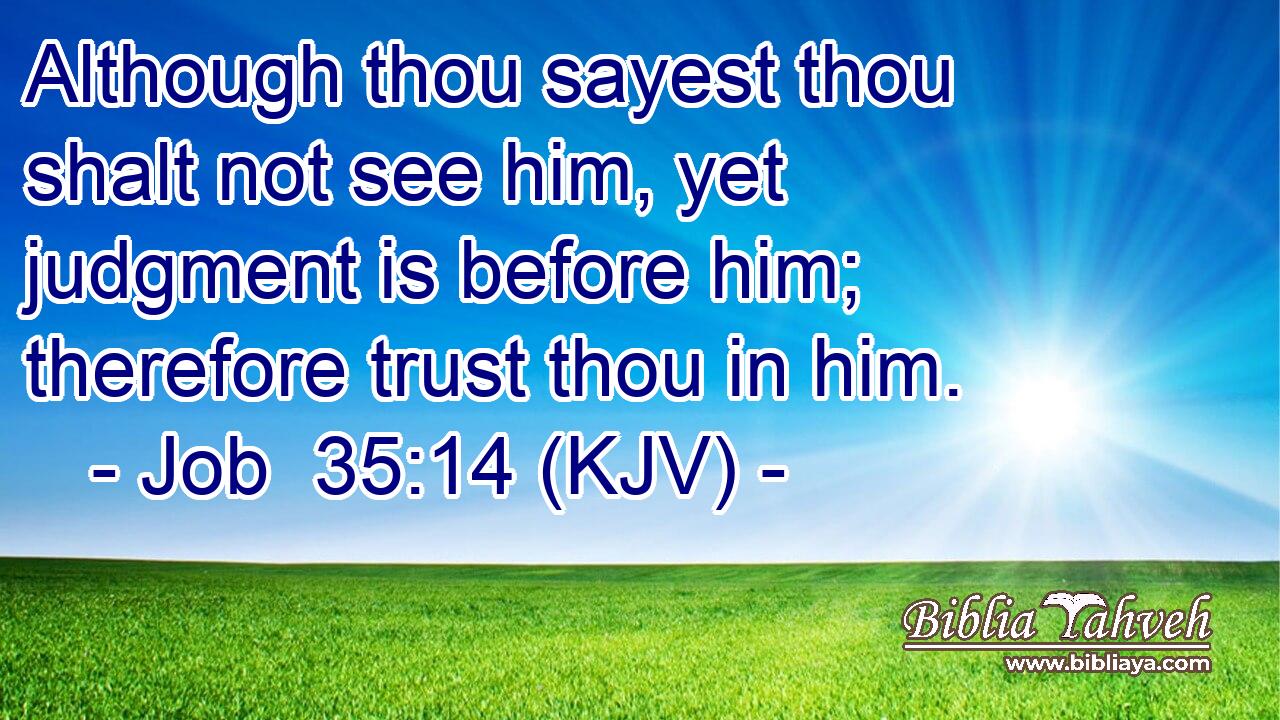 Although thou sayest thou shalt not see him, yet judgment is before him; therefore trust thou in him.