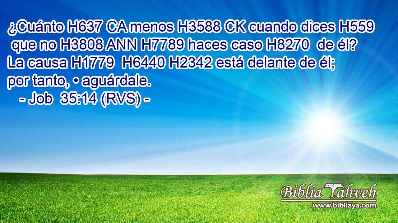 ¿Cuánto H637 CA menos H3588 CK cuando dices H559  que no H3808 ANN H7789 haces caso H8270  de él? La causa H1779  H6440 H2342 está delante de él; por tanto, • aguárdale. 