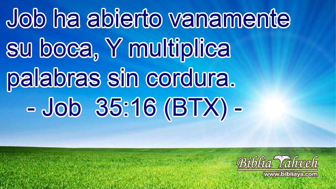 Job ha abierto vanamente su boca, Y multiplica palabras sin cordura.