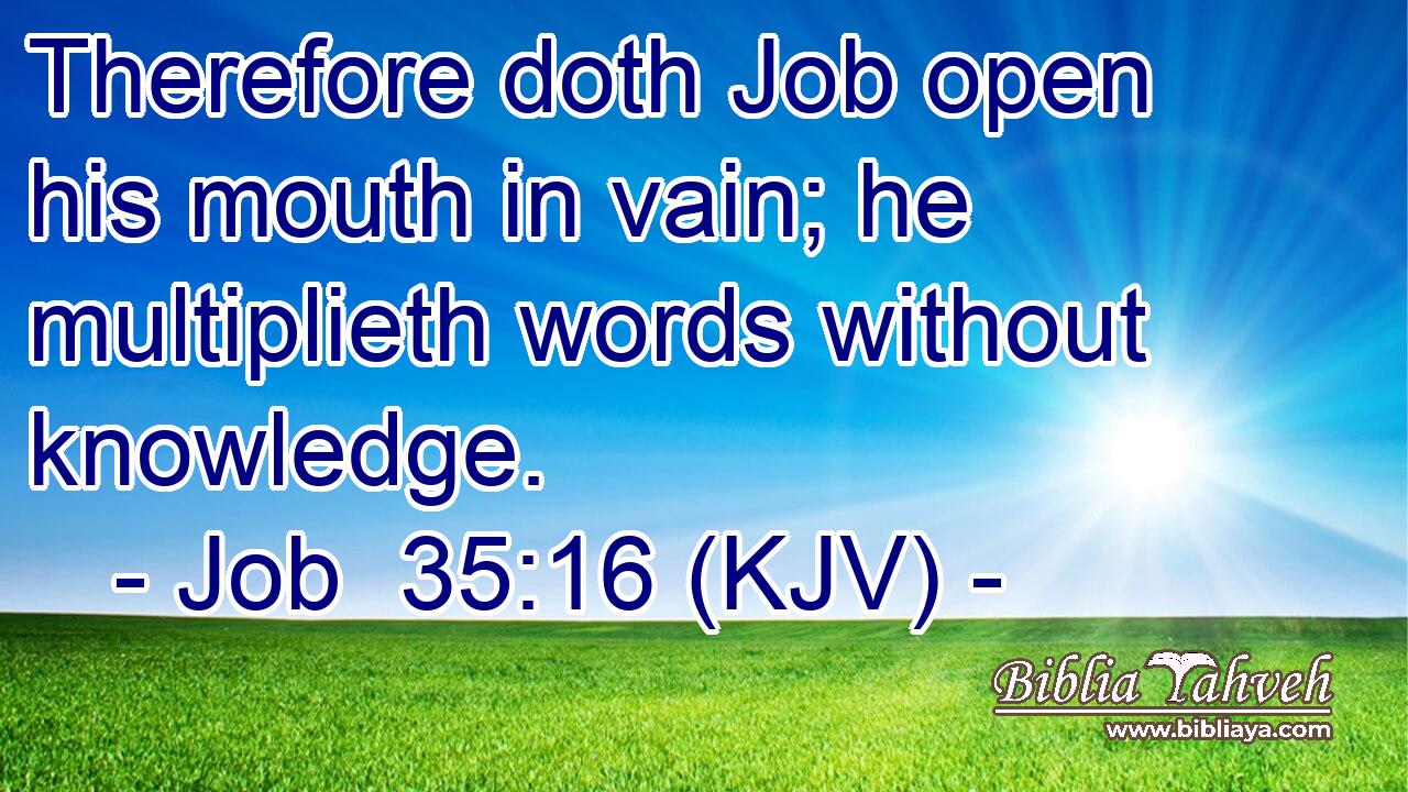 Therefore doth Job open his mouth in vain; he multiplieth words without knowledge.