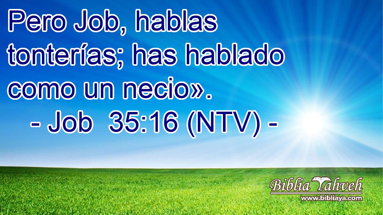 Pero Job, hablas tonterías; has hablado como un necio».
